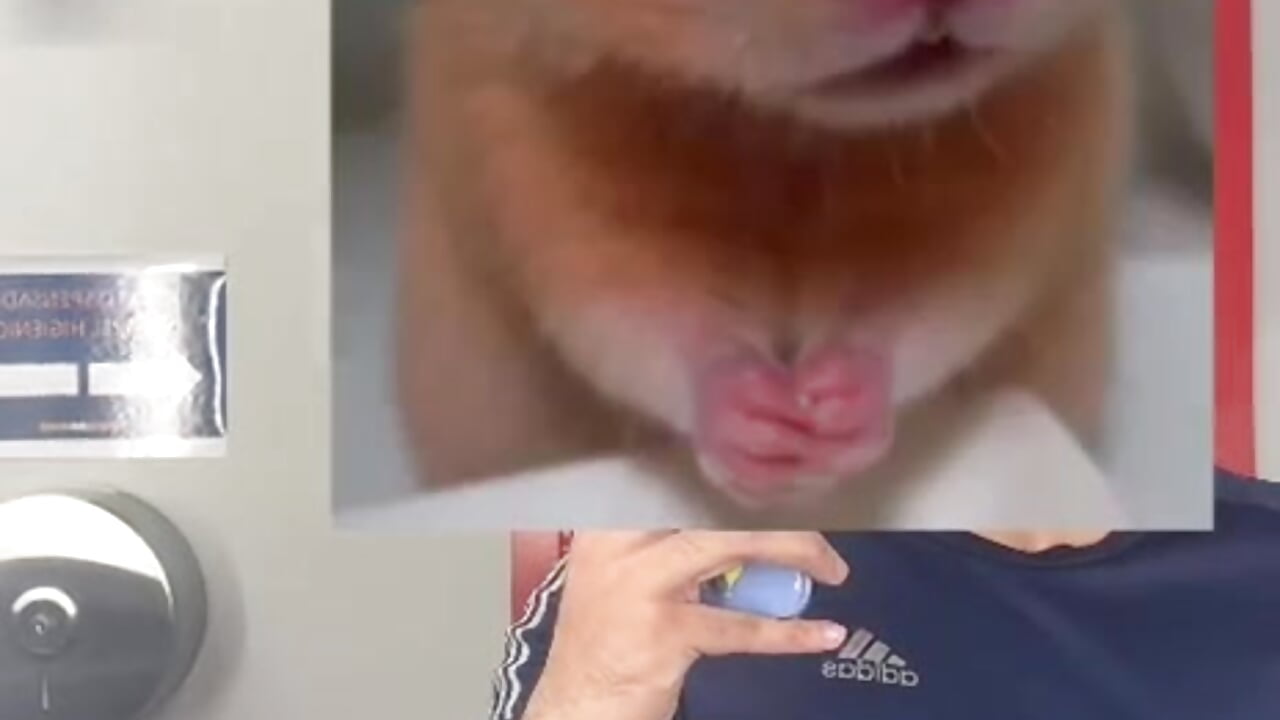 GYM - video by Drayking_