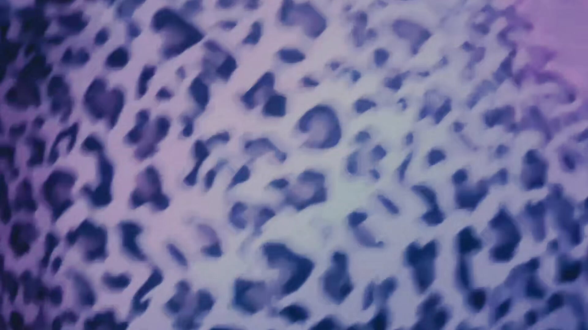 Dancehall en la casa – видео вебкам-модели Ely_spank