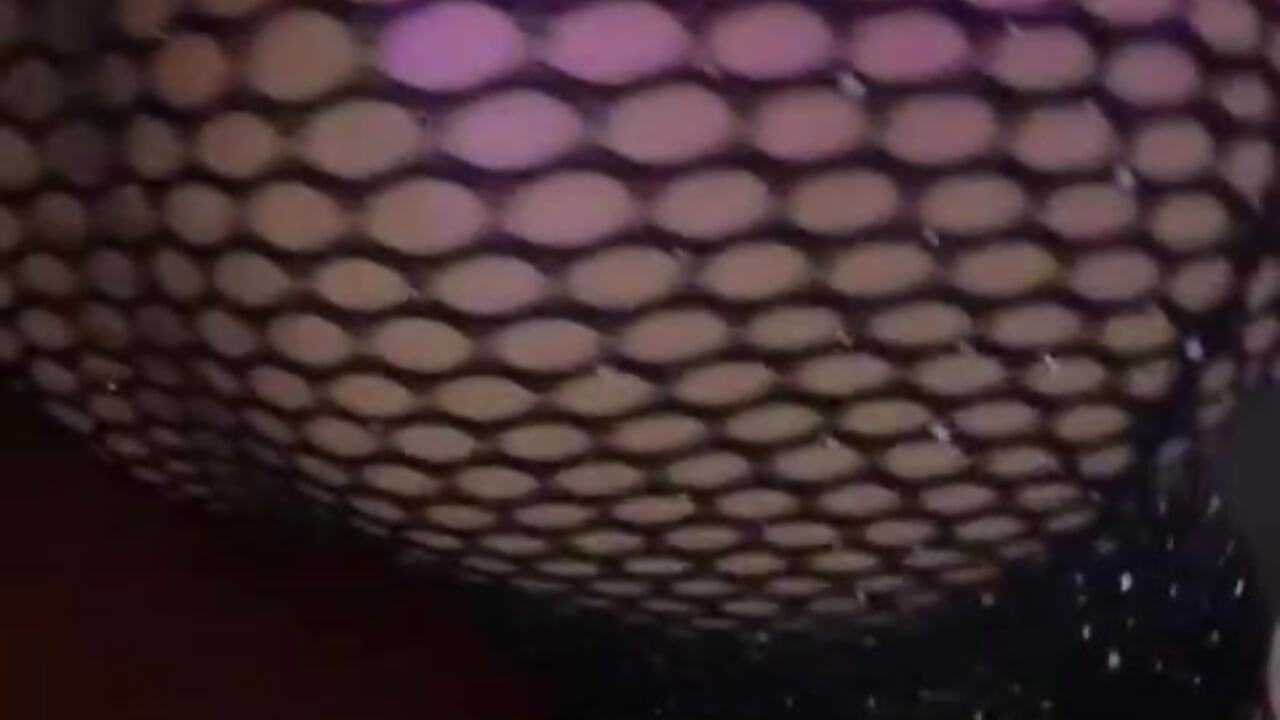 025DE28C-C33B-4A87-8AE8-5ABDB2F009BE - vídeo de CoralsnakeX modelo de câmara