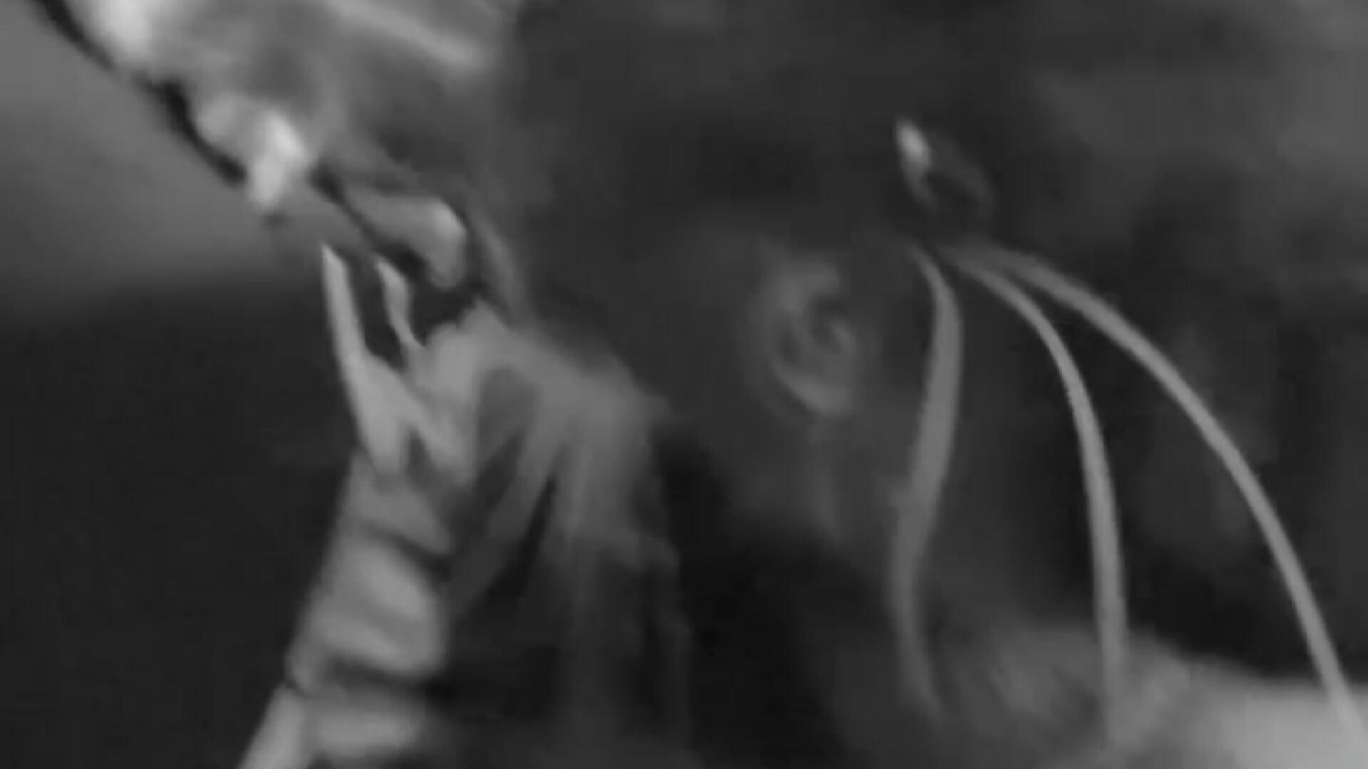 51C196F9-54B8-4988-B86F-6141D1ECAF01 - Vishwas_09 캠 모델의 동영상