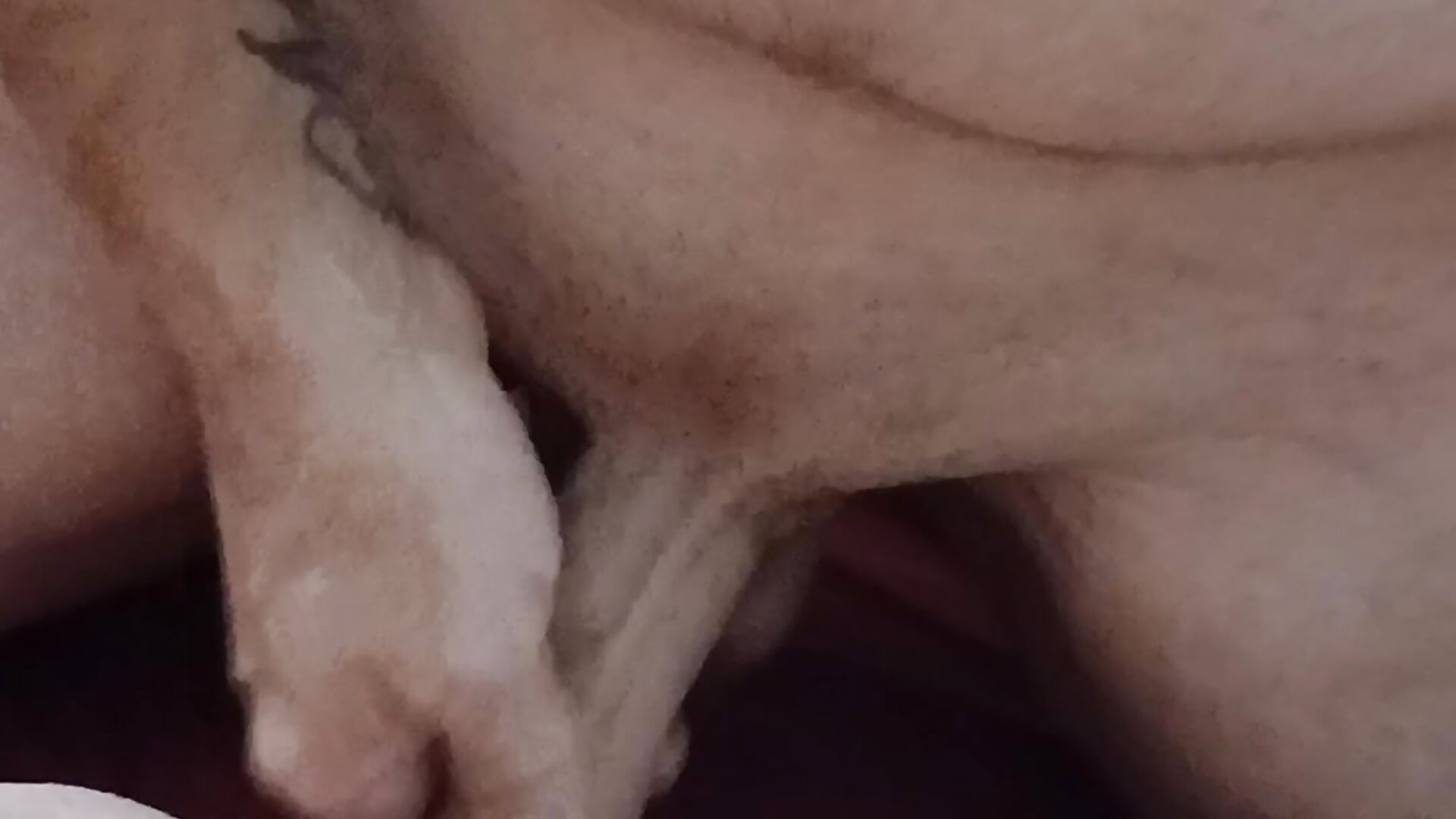 Creampie Ashlee's pussy