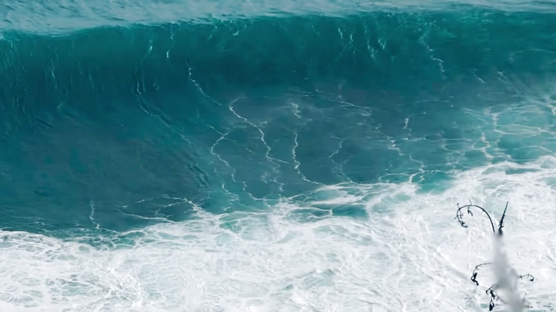 Peace and Harmony– Tommy_Stars kameramodell videója