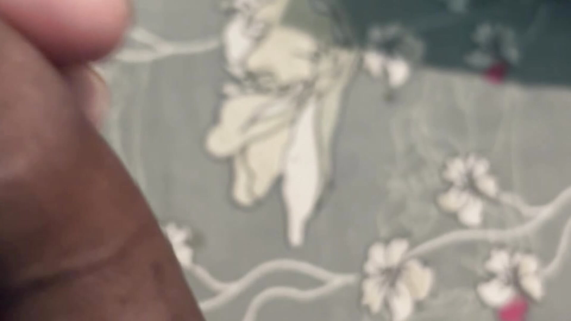 IMG_0054 - Chotiluli4主播的视频