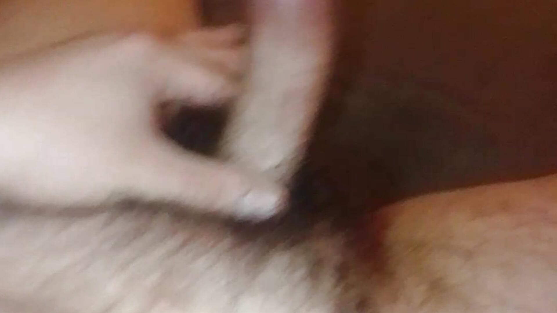 1000002542 - Vídeo de PerverzanMomak, modelo de vídeos