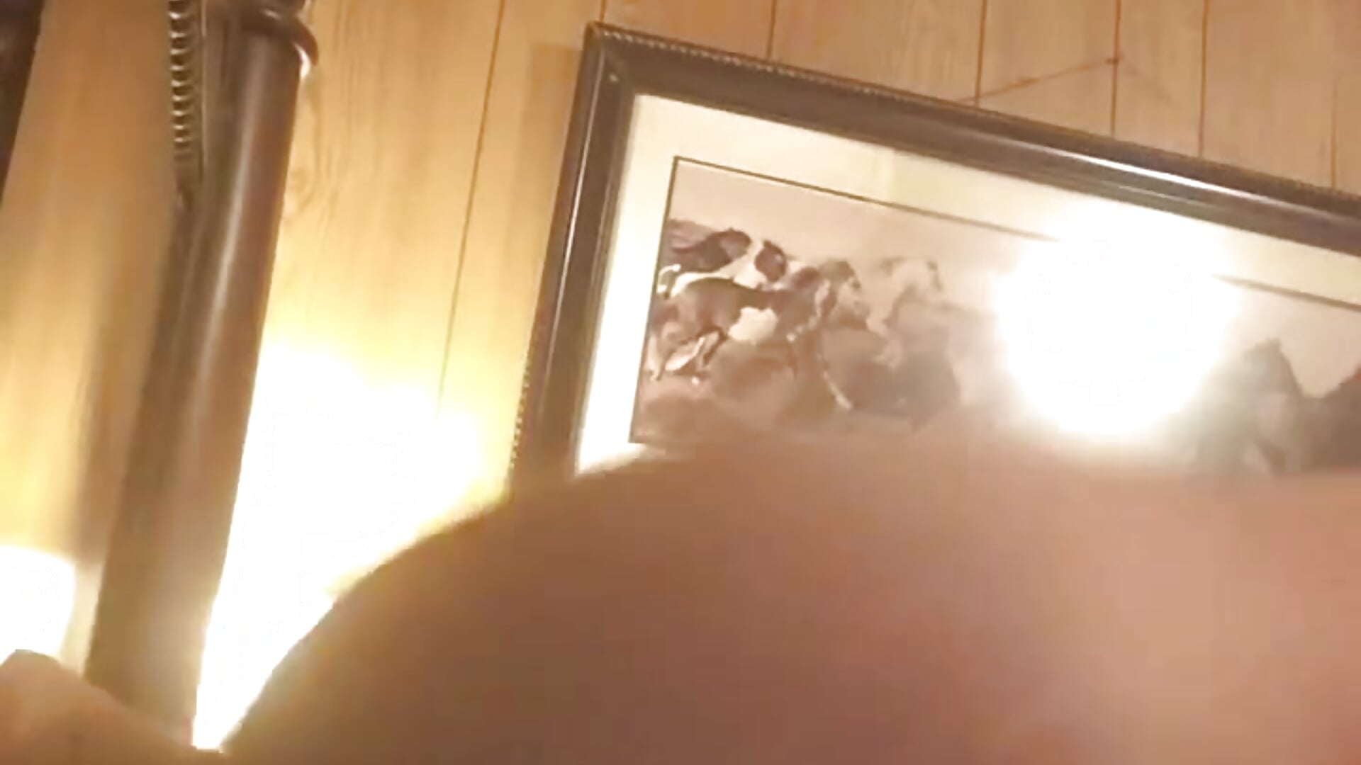 1000000053 - vidéo du modèle de showcams Fastrunner10