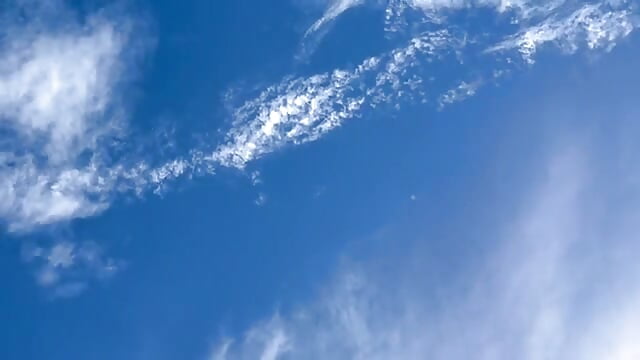 🌳－カメラキャストの_Saki_の動画