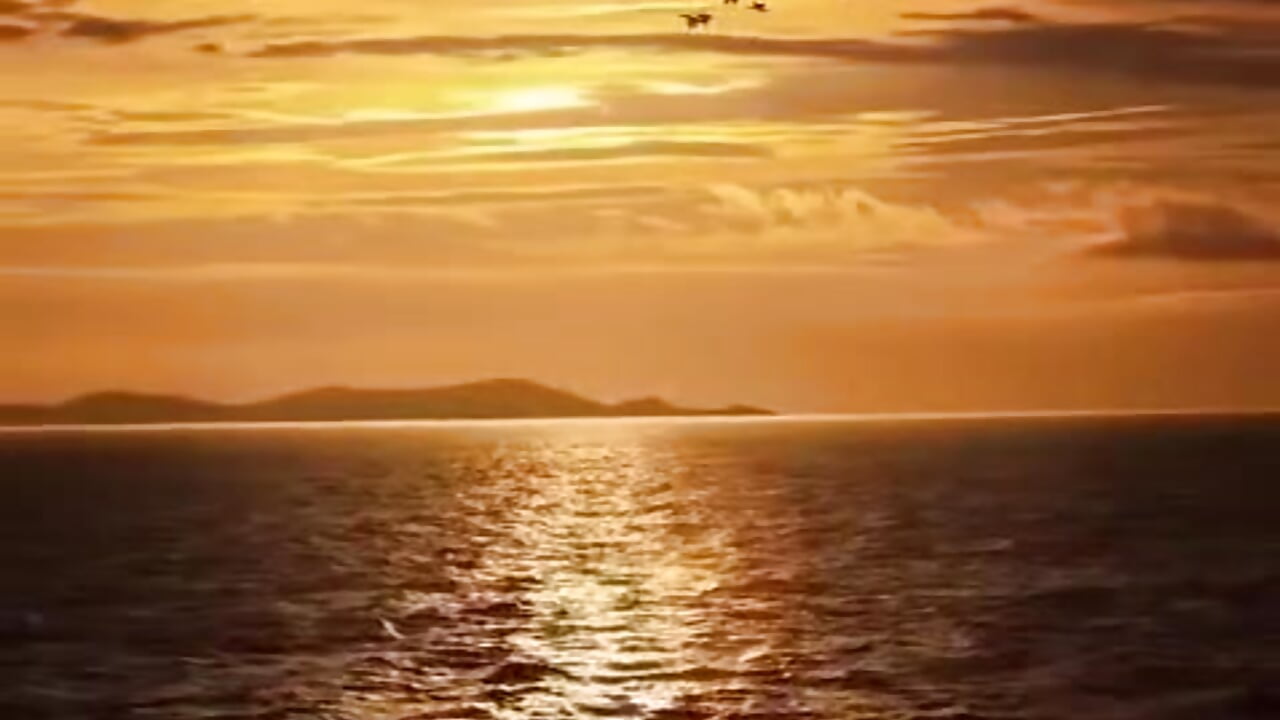 😘 - video by Im-Diksha cam model