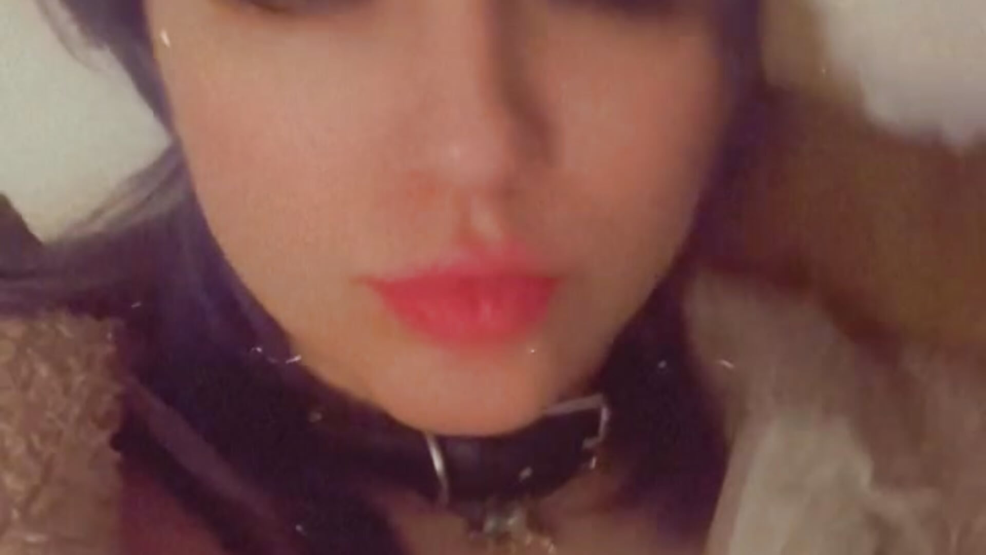 A0FDF8DC-A519-4AA3-B0B0-A87A6442C57B - video wolfie_wuf kameramallilta