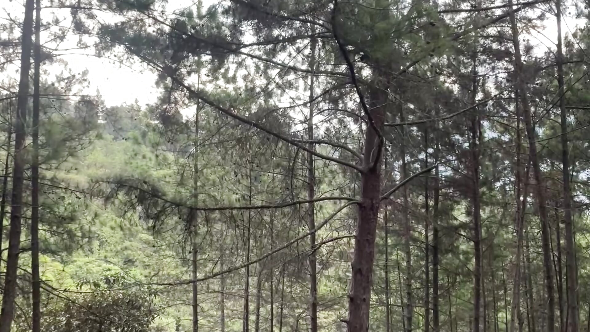 Calama - video 777__dmz__ kameramallilta