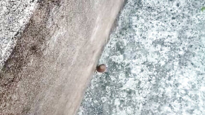 Squirt Show on terrace front neighbour - copy 6 Aug 08:16 - video by Chubby_rockstar cam model