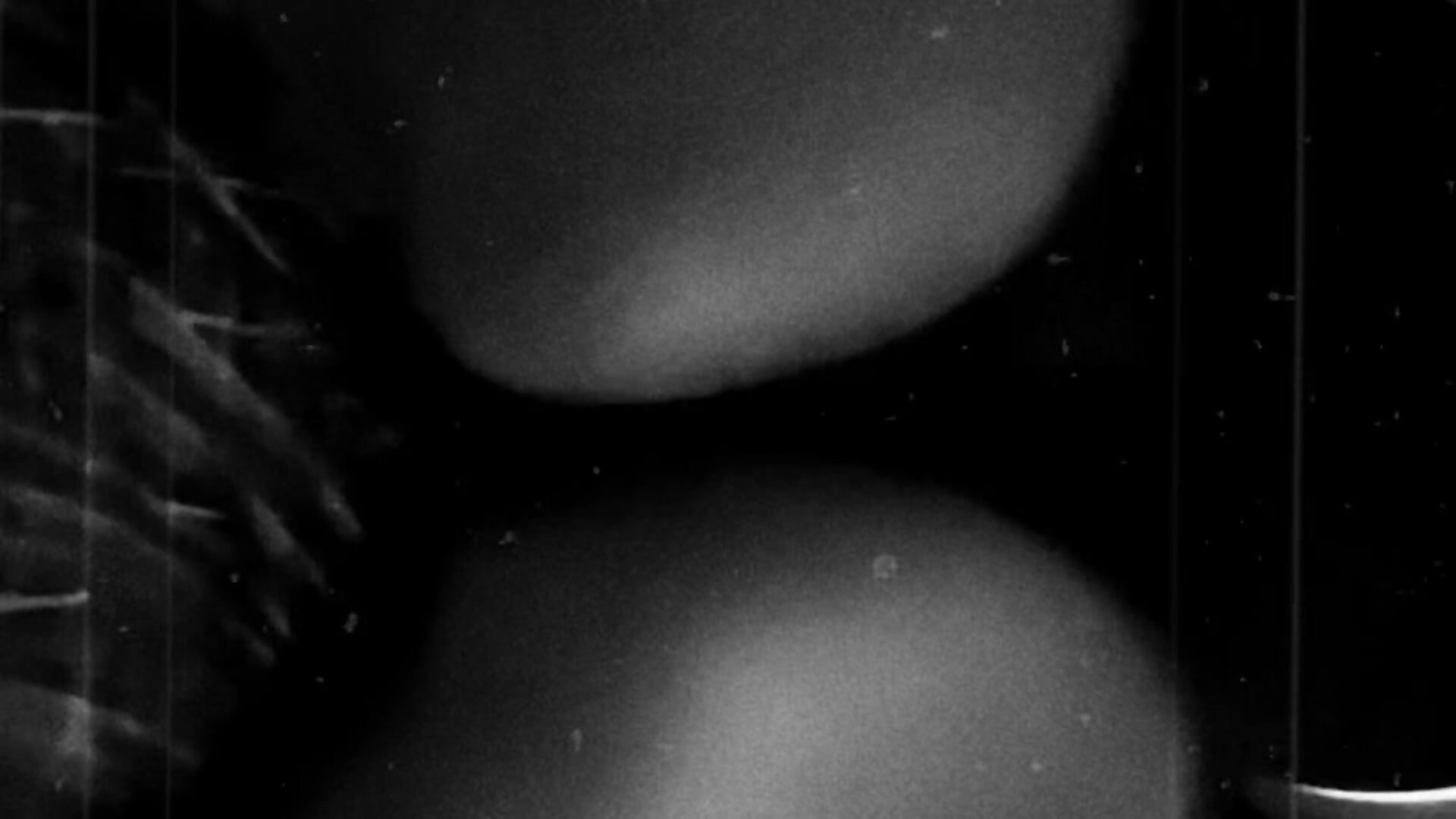 Hershey Chocolate 😏－カメラキャストのHersheyKyssの動画