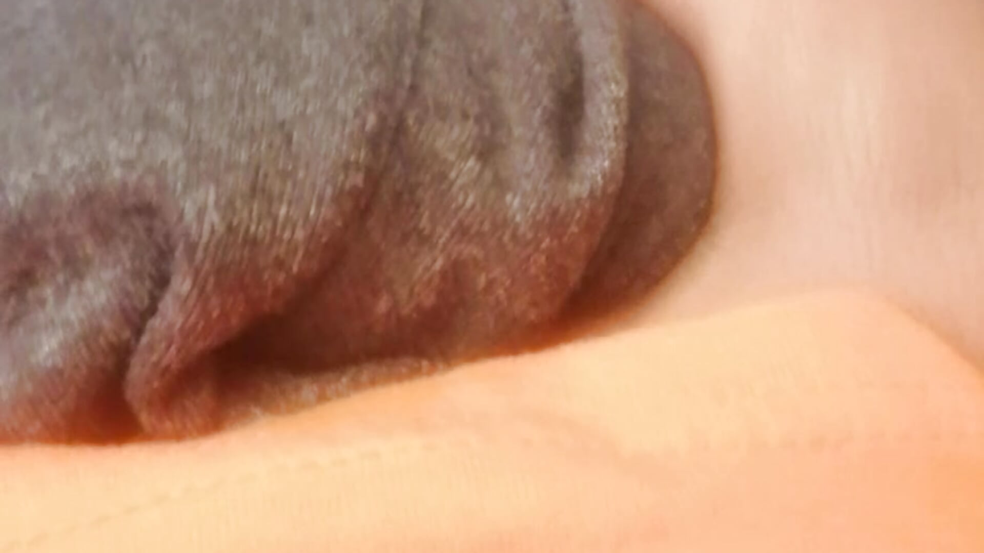 Ang3l_19 - вебкам модель избранные видео 4996