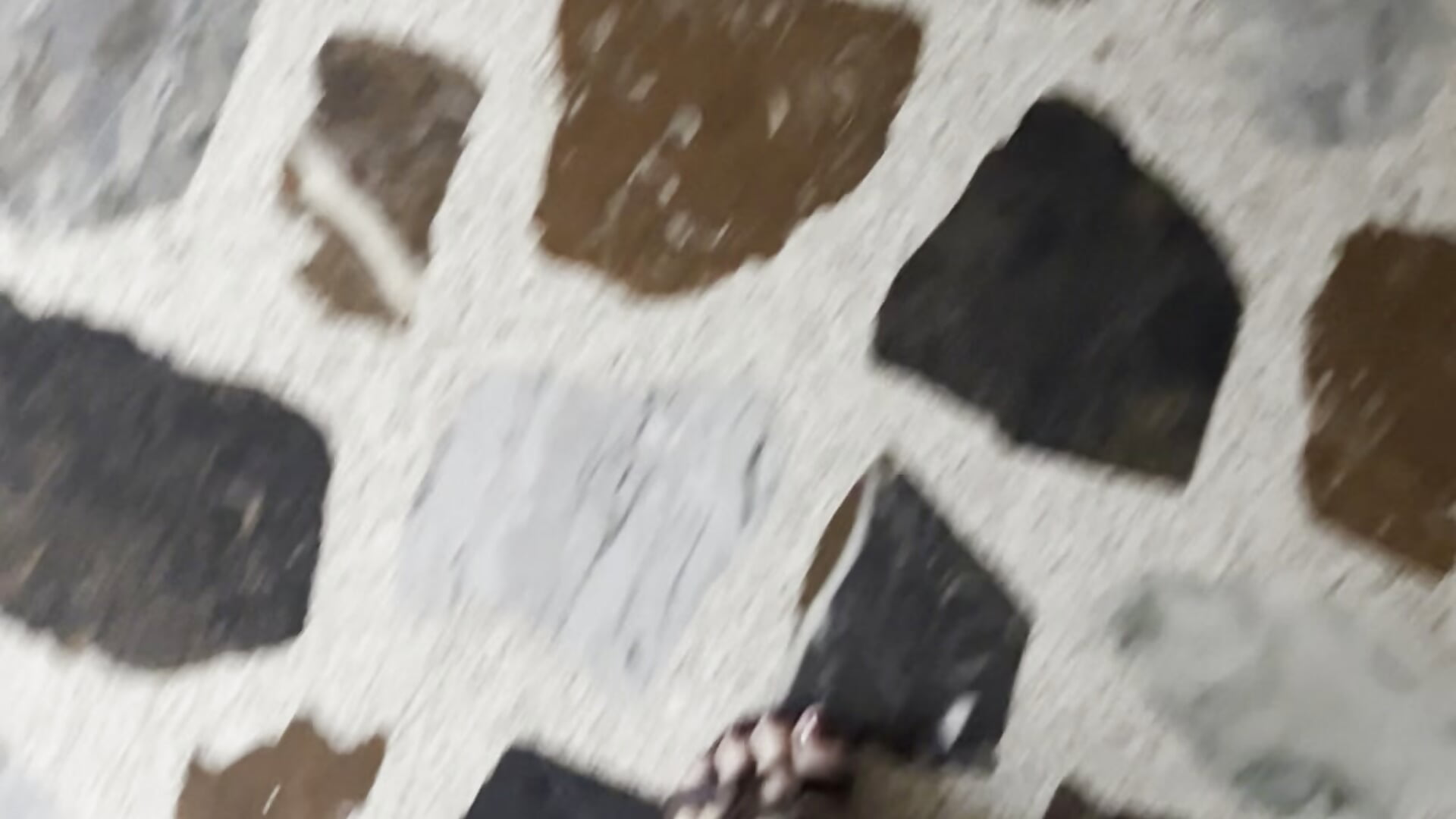 let's enjoy my sexy legs and my feet