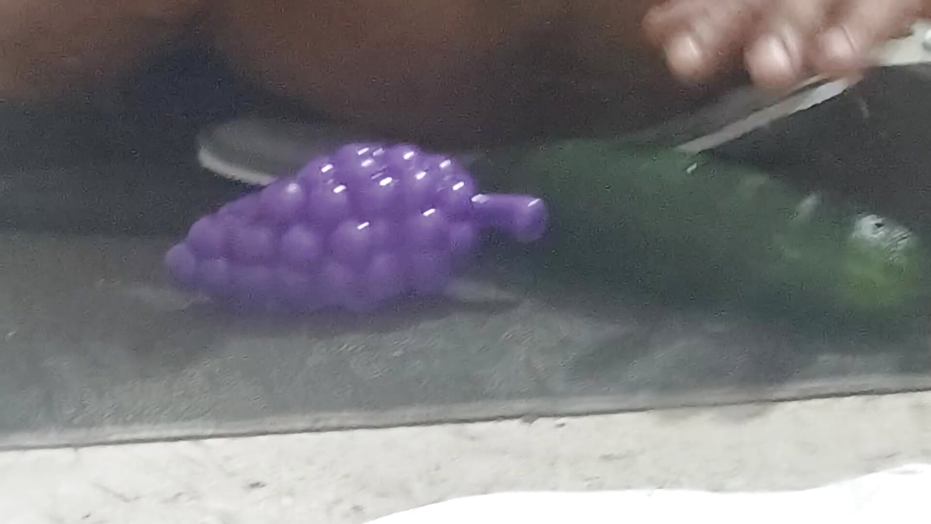 BDSM ME ENCANTA - Video von El-SingoKario Cam-Model