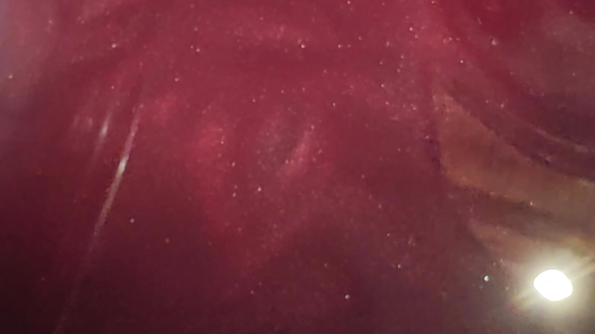 Wine fermentation - video Softcum77 kameramallilta