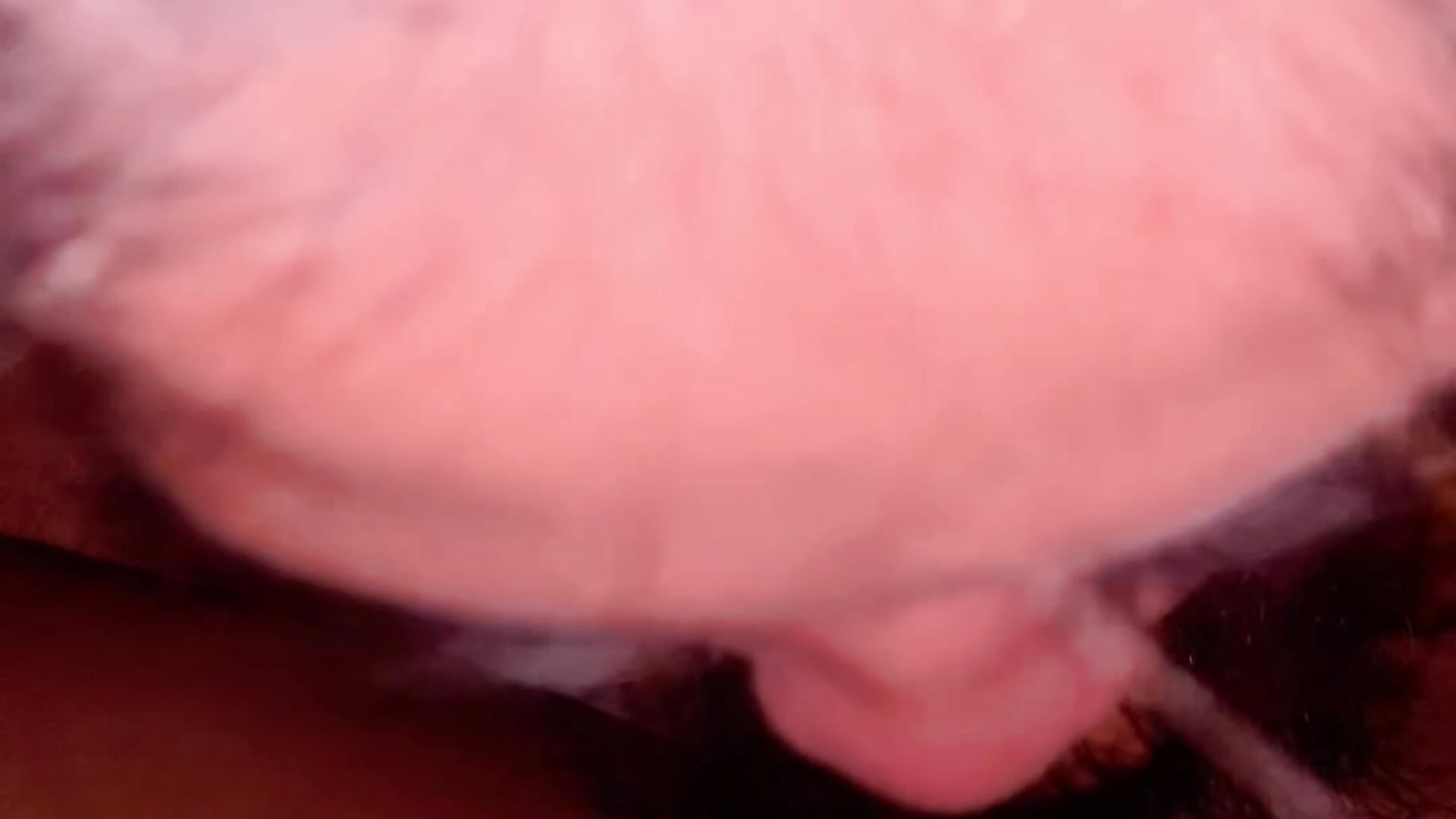 sucking - Vídeo de horsemeatcock_ellison, modelo de vídeos