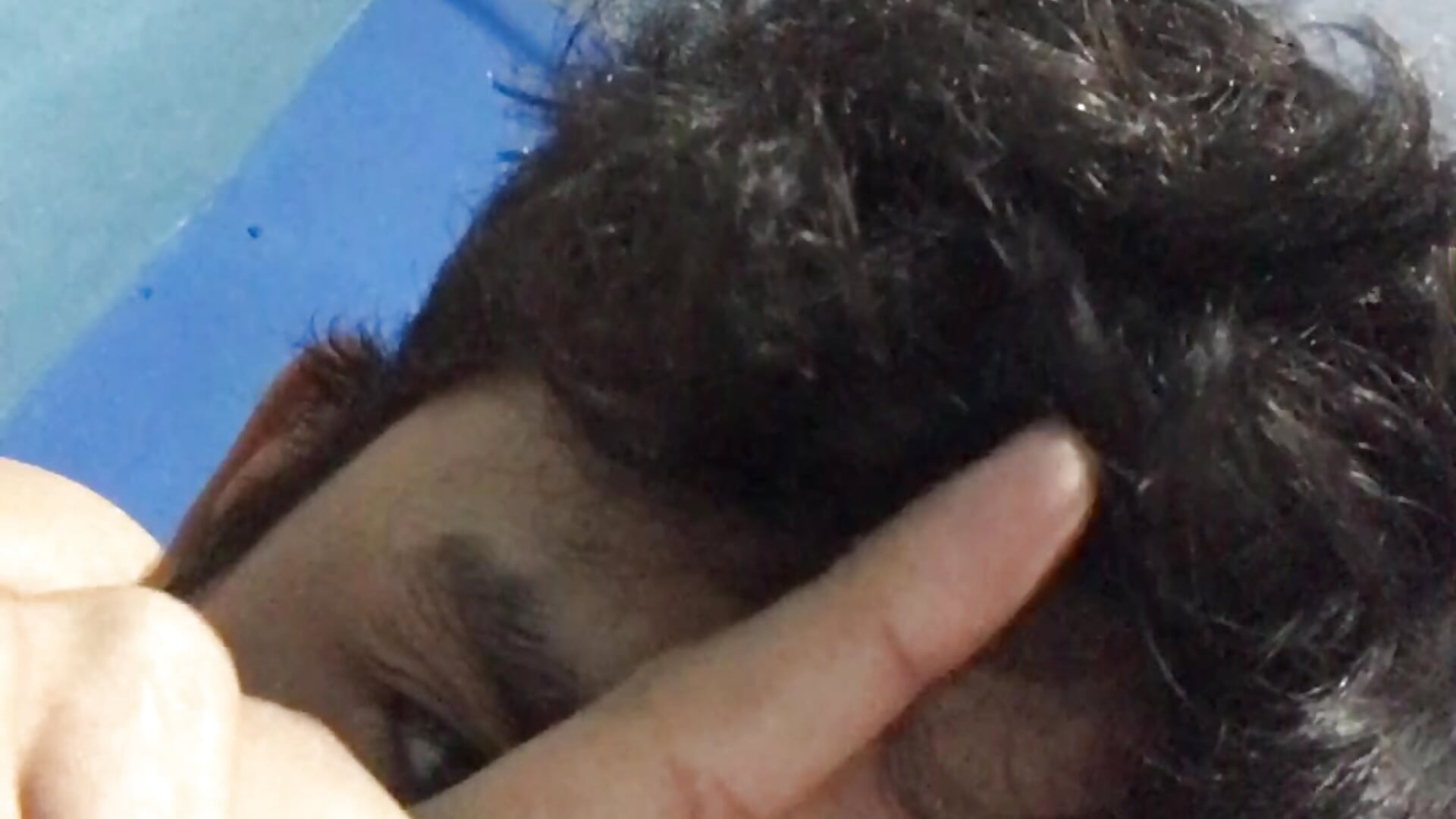 39CBB321-EC52-4896-895E-E2284A76621C - video by Mndezzgmboa31