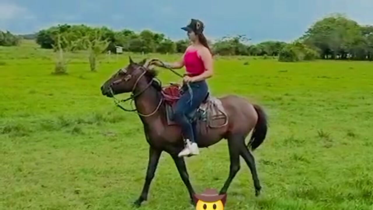 amo el campo y los animales - Video von kyliewilso Cam-Model