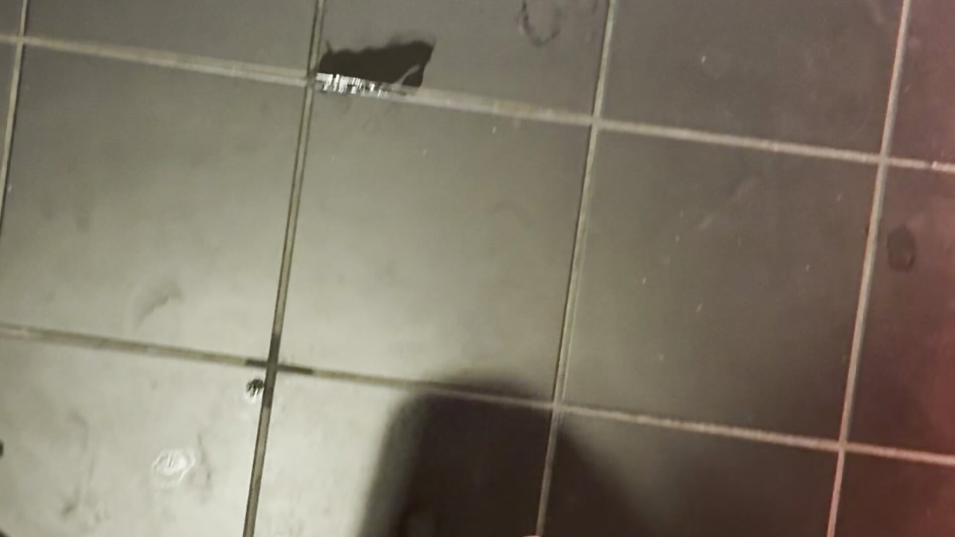 Clean feet after shower - 視頻由 SableMuse 主播提供