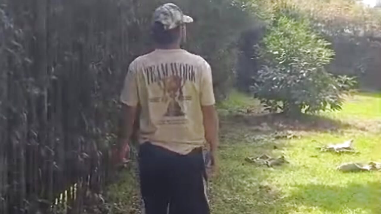 Dilan – видео вебкам-модели DilanAndres