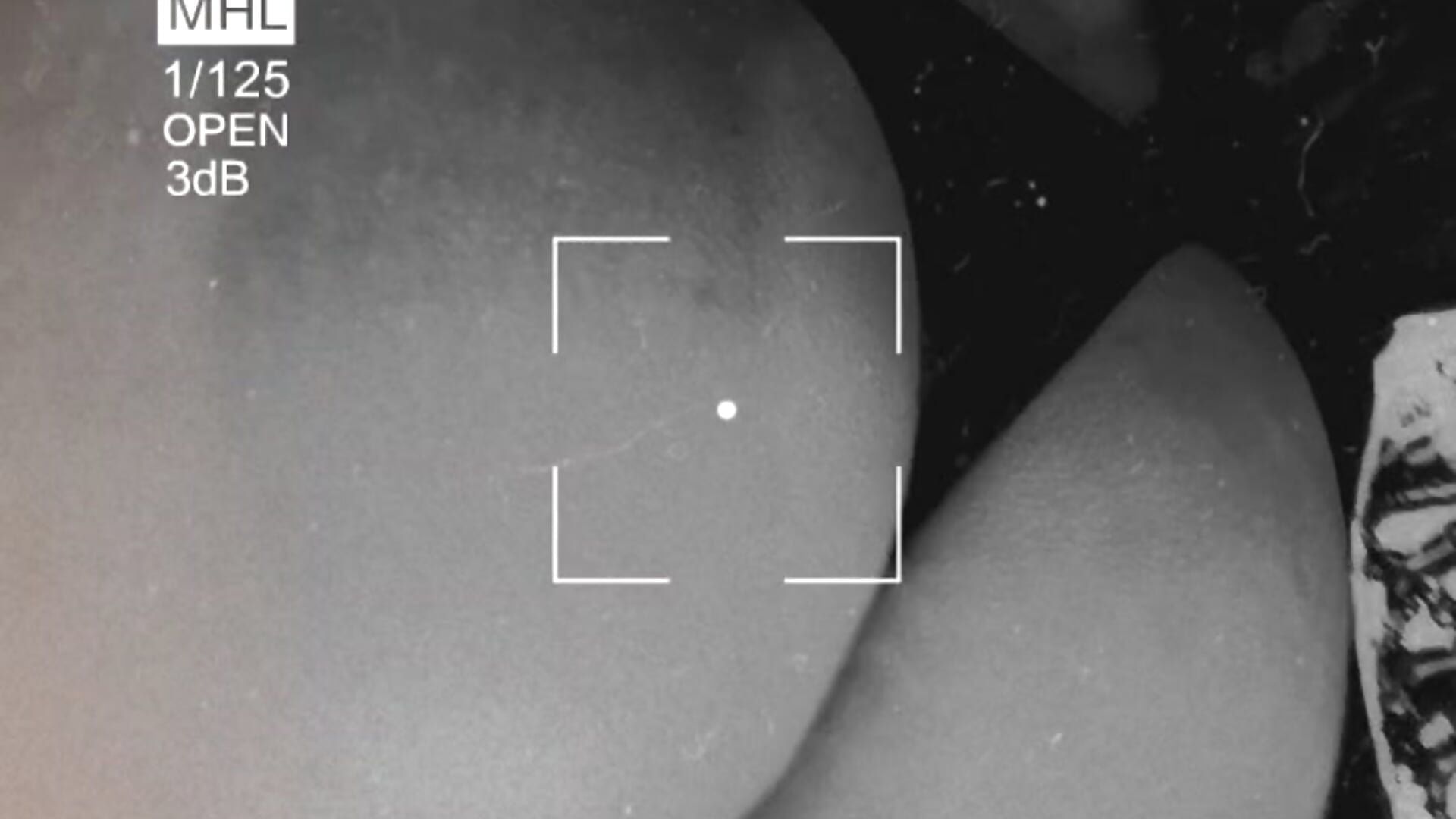 Favorita - vídeo de natalith modelo de câmara