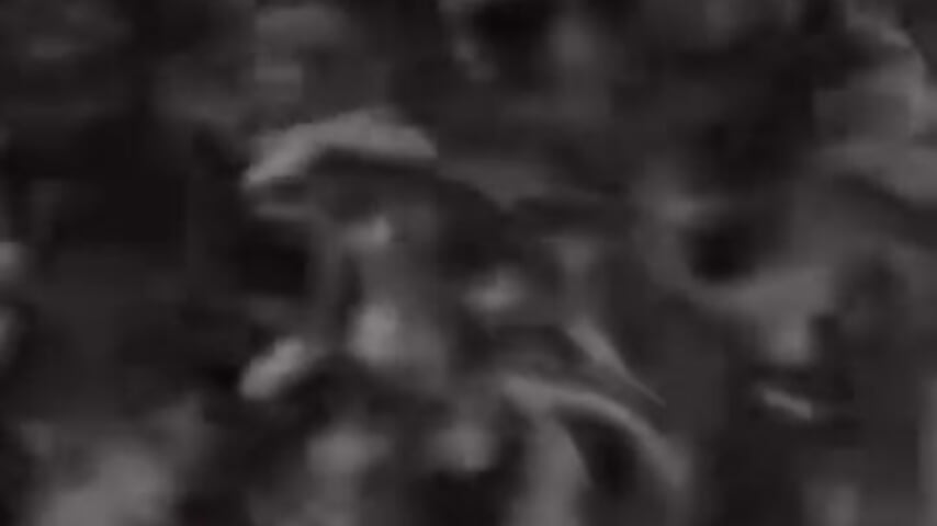 WhatsApp Video 2026-03-12 at 8,23,51 PM - vídeo de Straight_with_curls modelo de câmara