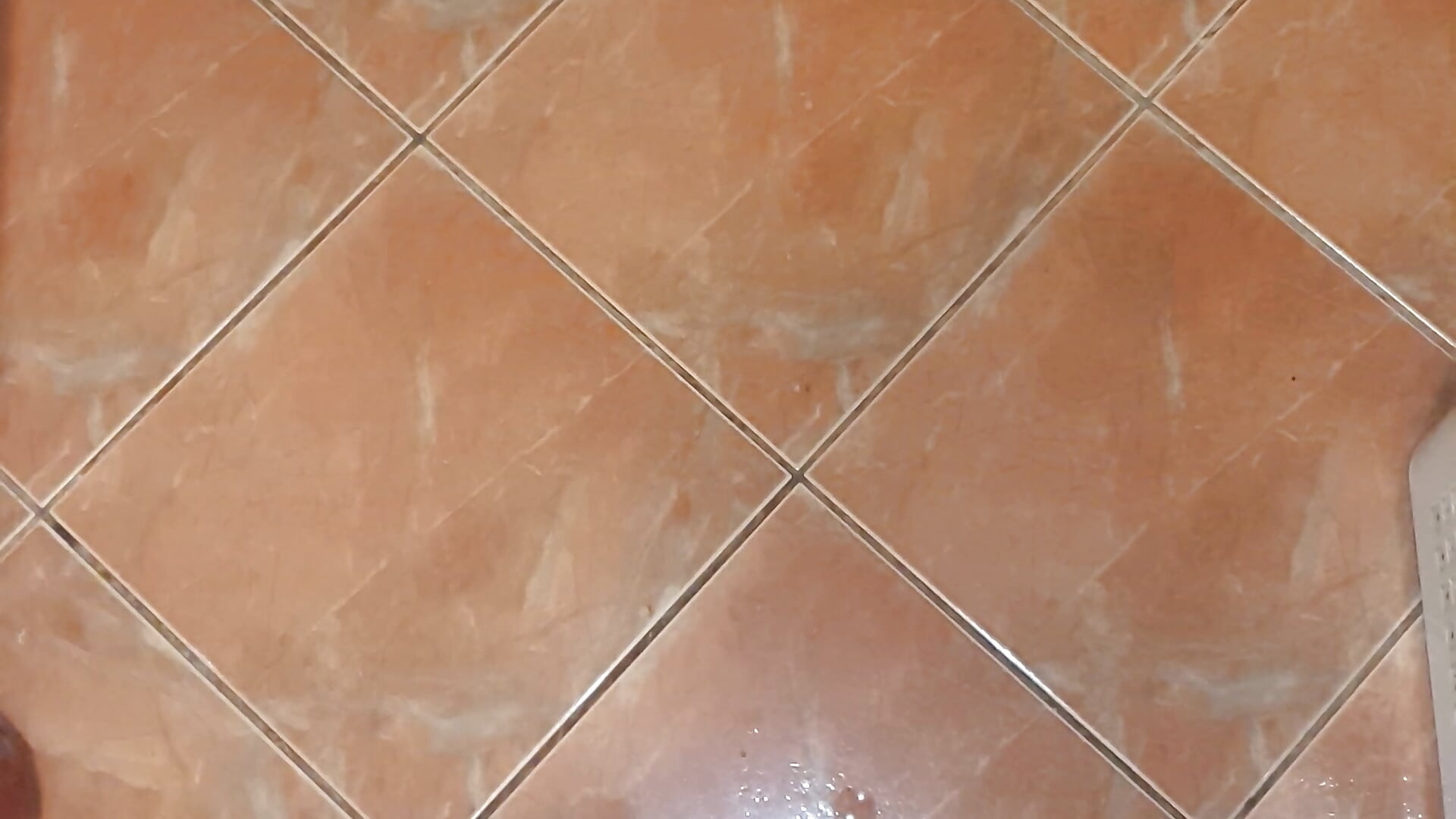 😈🍆 – видео вебкам-модели gaybalkan06