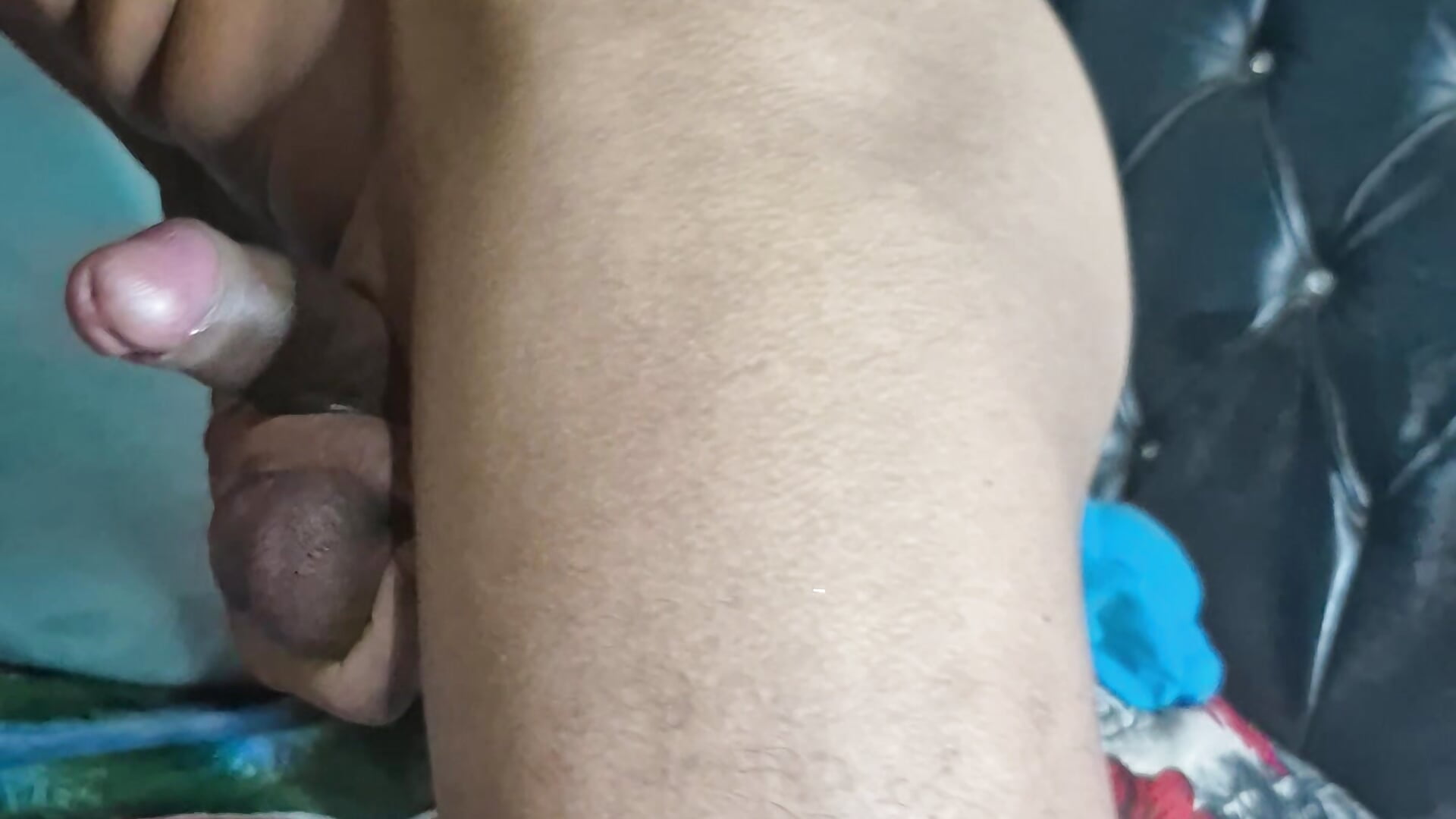 Te jodo en perrito