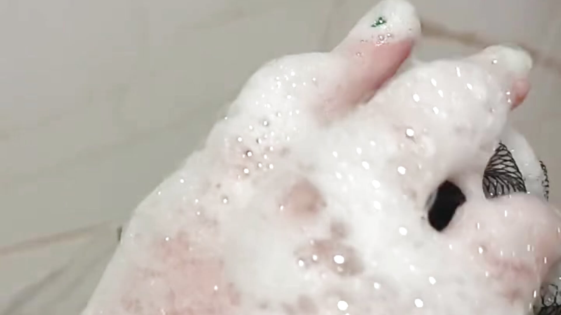 I love a soft shower and a fragrant foam! I hope you are too. – video af Alex_Goddess_ cam-model