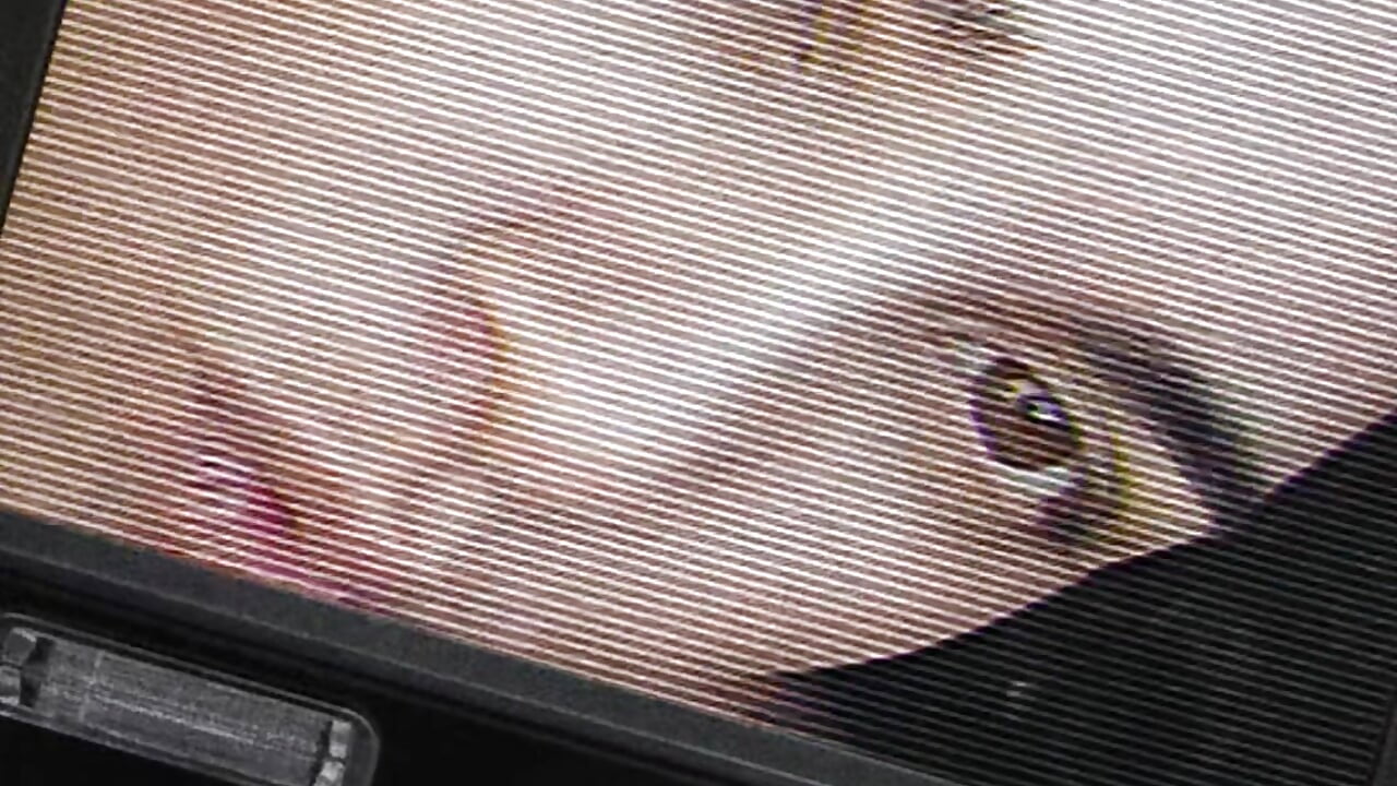 Intro Perfil - video oleh SoyBHP kamera model