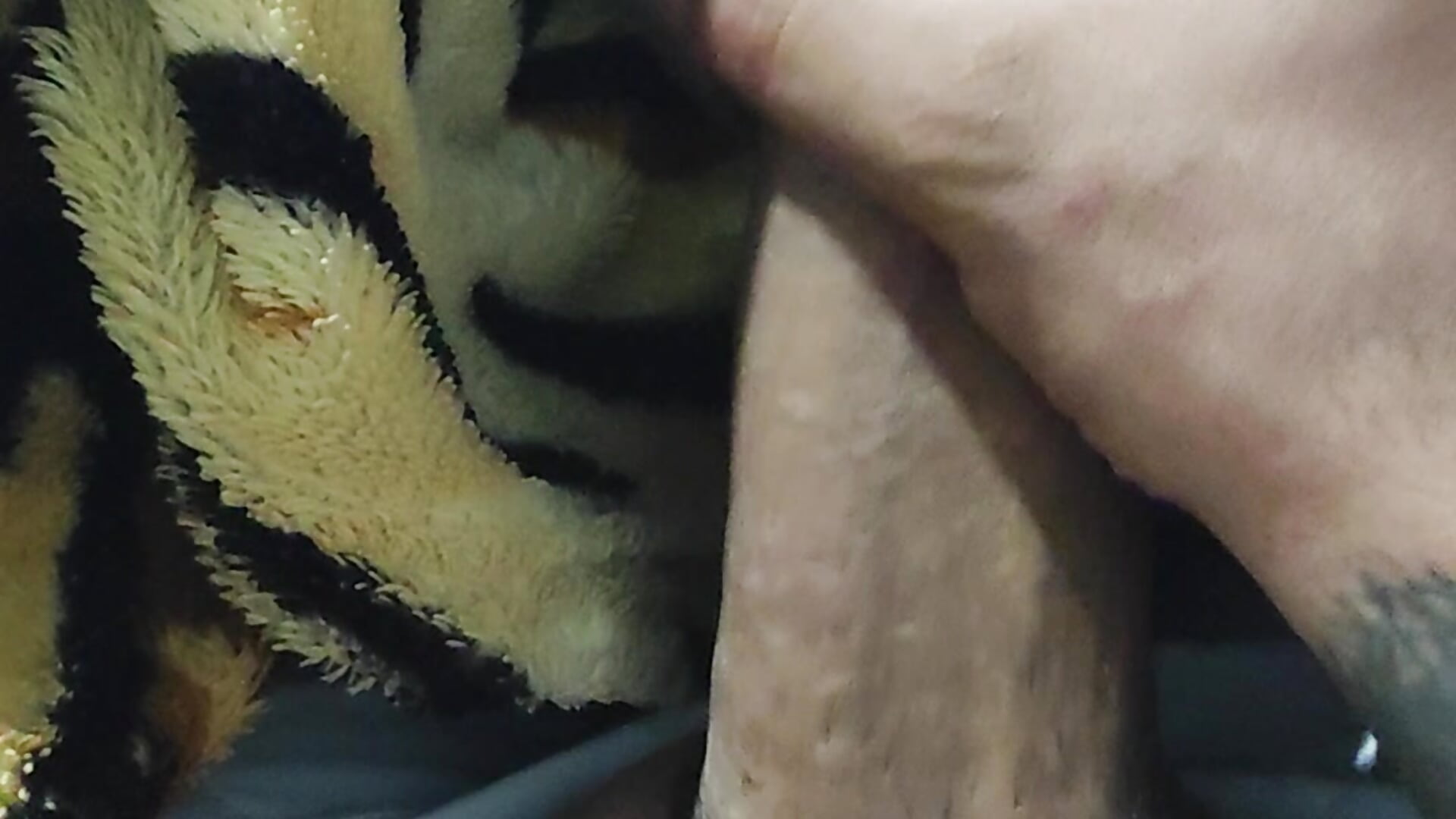 Rico 😋😋 -   ক্যাম মডেল EstebanC2-এর ভিডিও