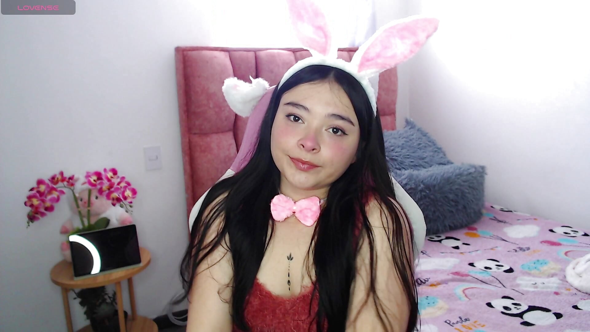 cute bunny - Nahia_Brm主播的视频