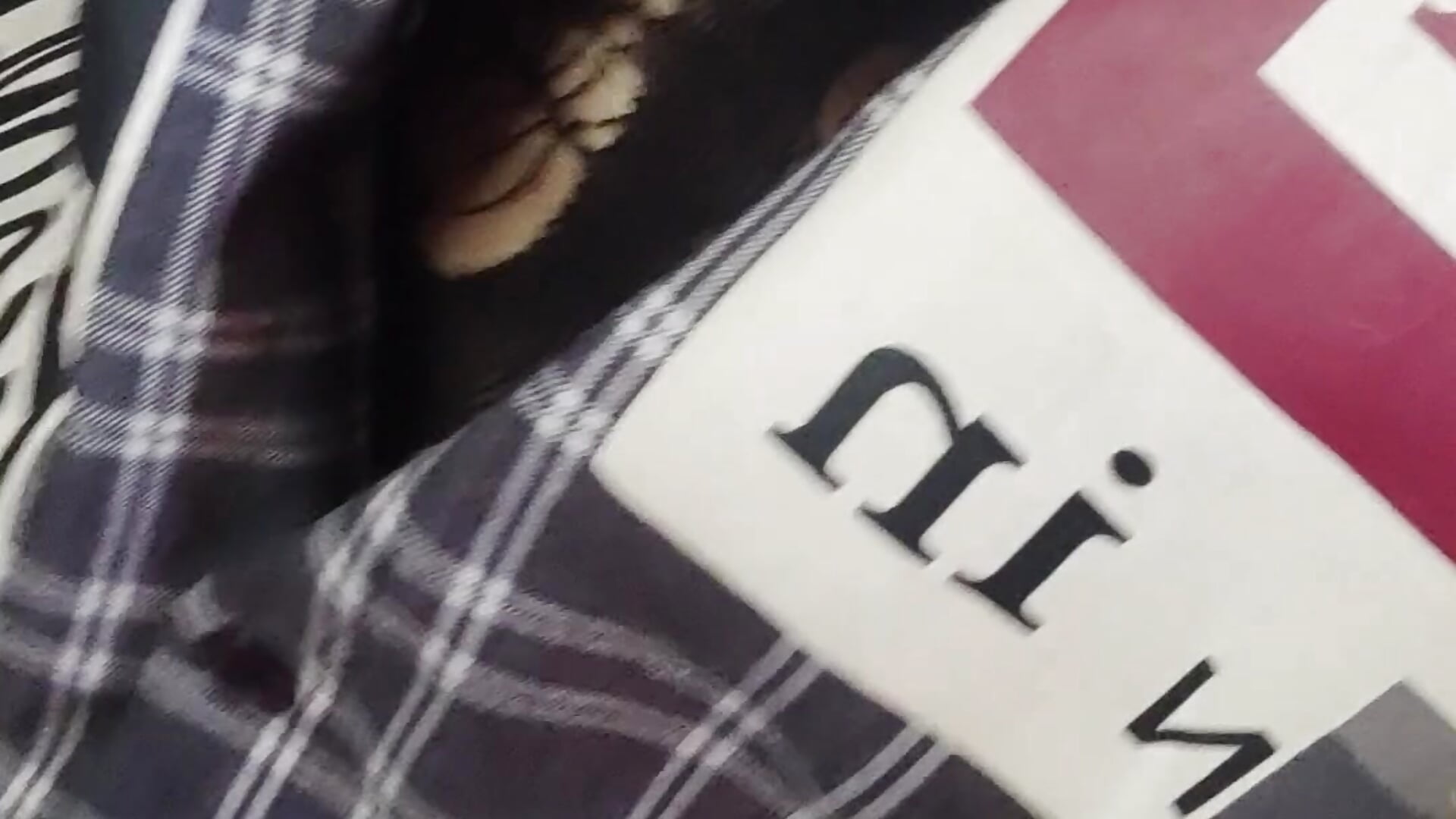 VID_20260223_142051 – video od webkamerové modelky Minisstra