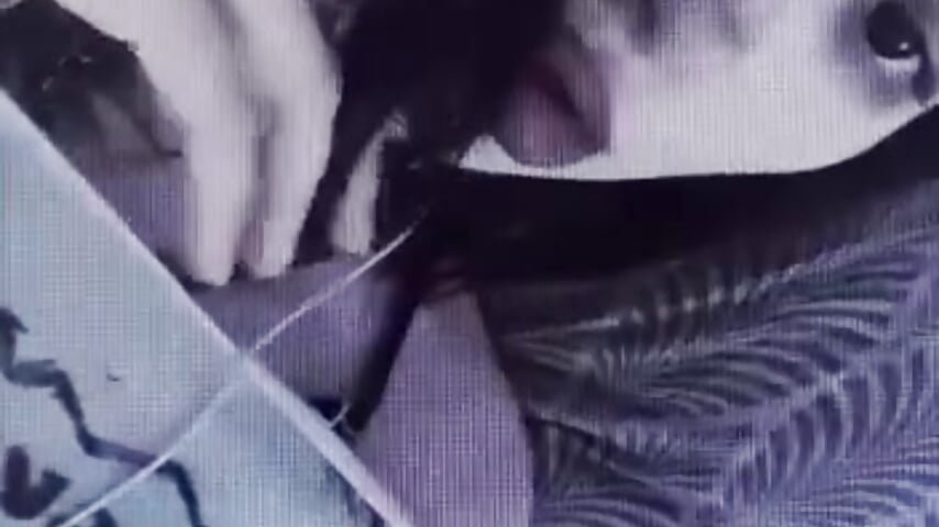 🐾🖤 - video by AllisonDeetz cam model