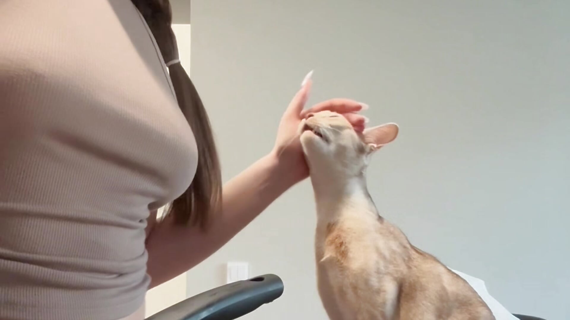 Cooking with a cat be like: - video av MeganStrane cam-modell