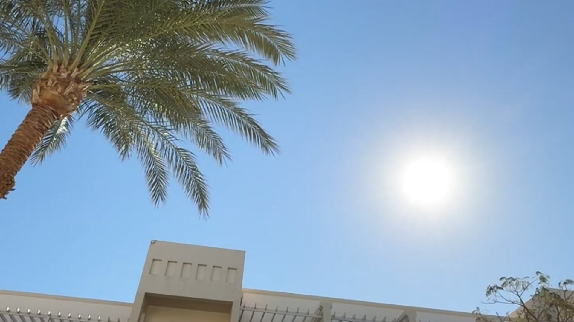 Summer Time ☀️😎 - Video von KatharinaGold Cam-Model