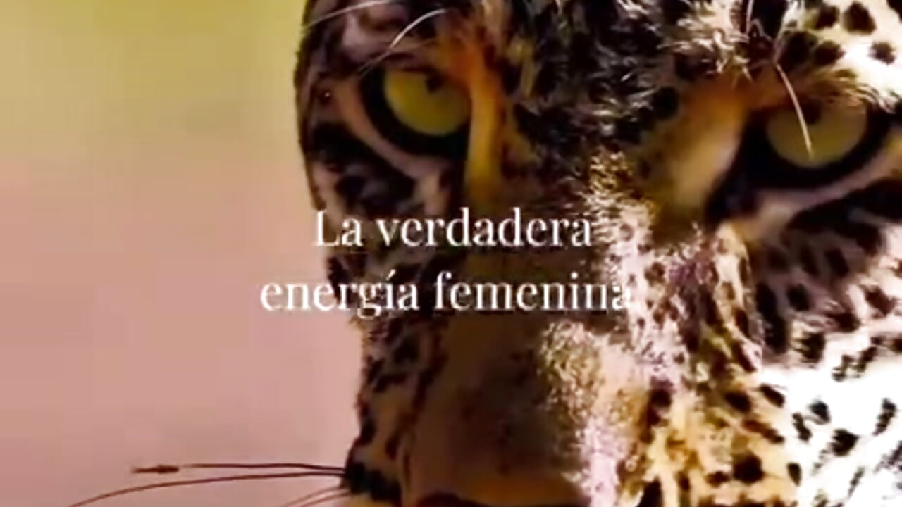 Feminine energy🔥 - video by _Miss_alexxxa cam model