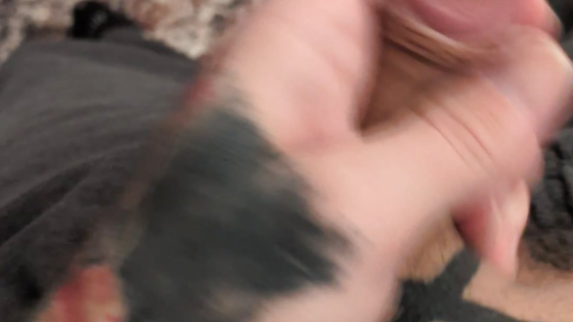 951 - video van PleasingZaneFuryXXX cam-model