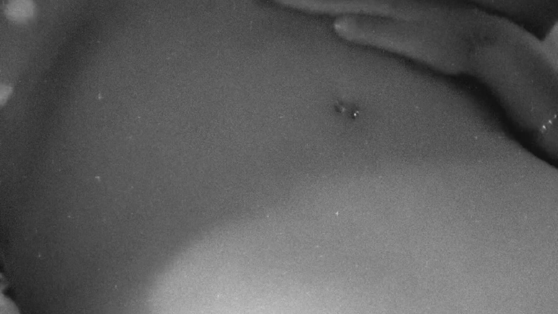 Mostrándome un poquito ❤️‍🔥 - βίντεο μοντέλου iamvaneg