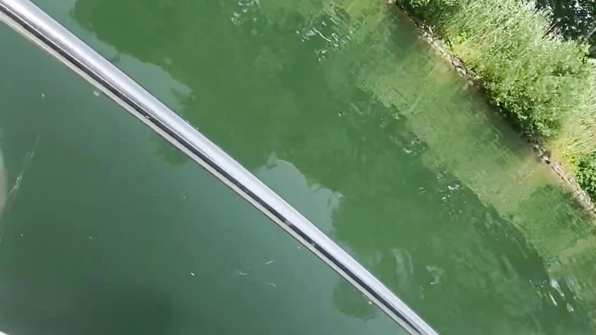 IMG_1325 - clip cu xxxxkarixxx model videochat