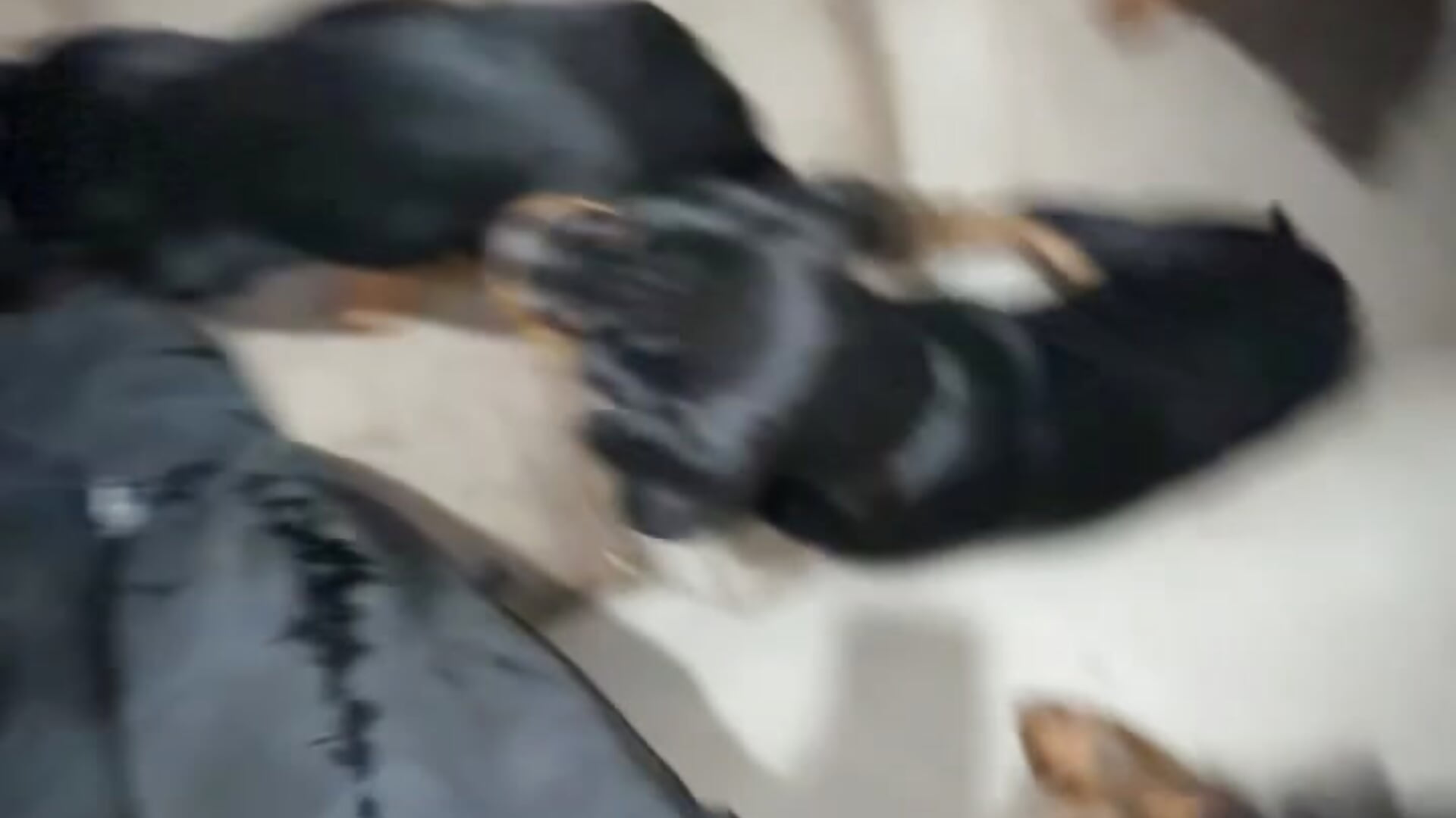 3A597D3E-DD81-4BA6-BDCF-FDAB9CBDC40B - video av RAVENTREY1 cam model