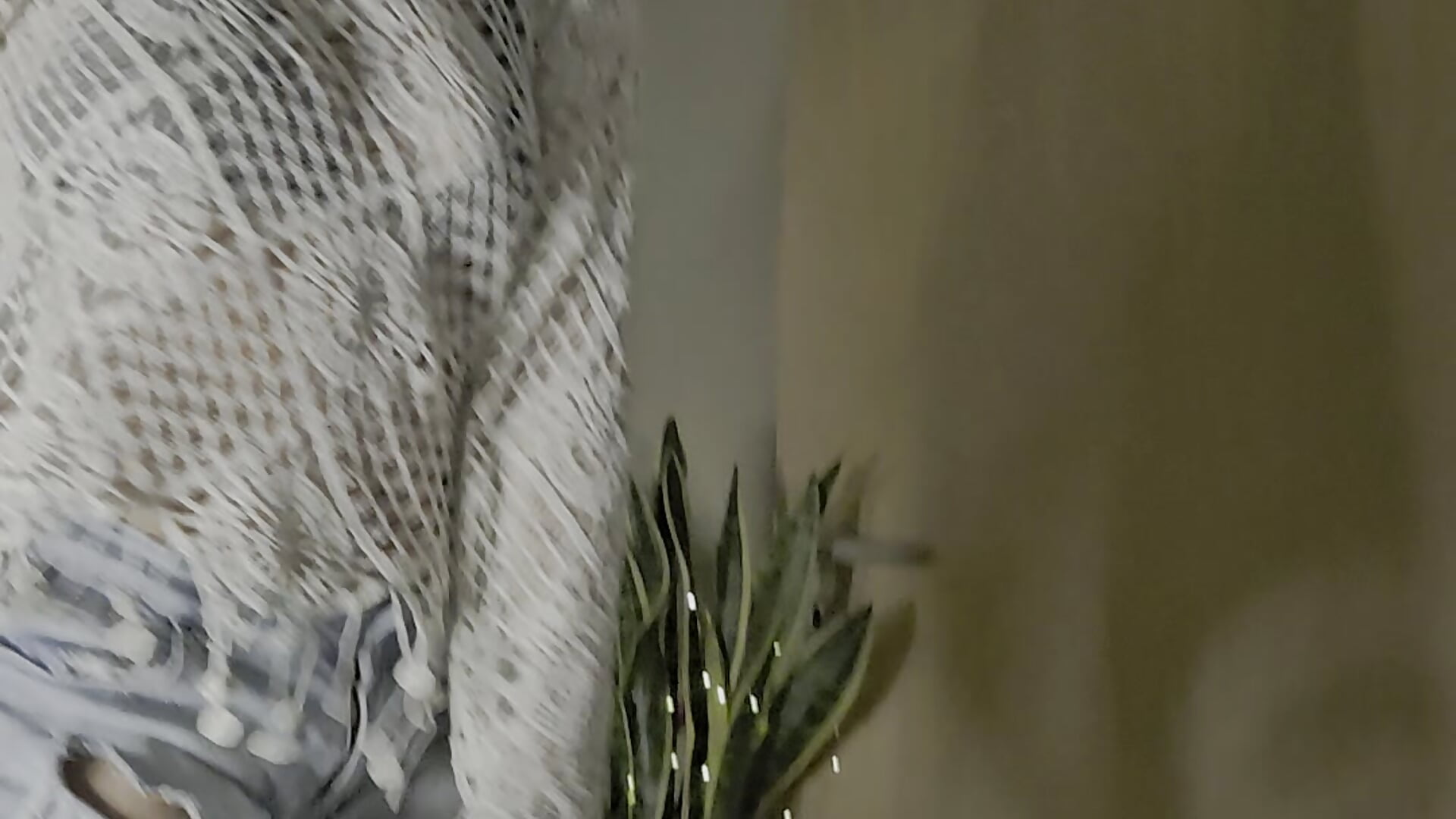 hi dear <3 - video by Bella_Amazing cam model