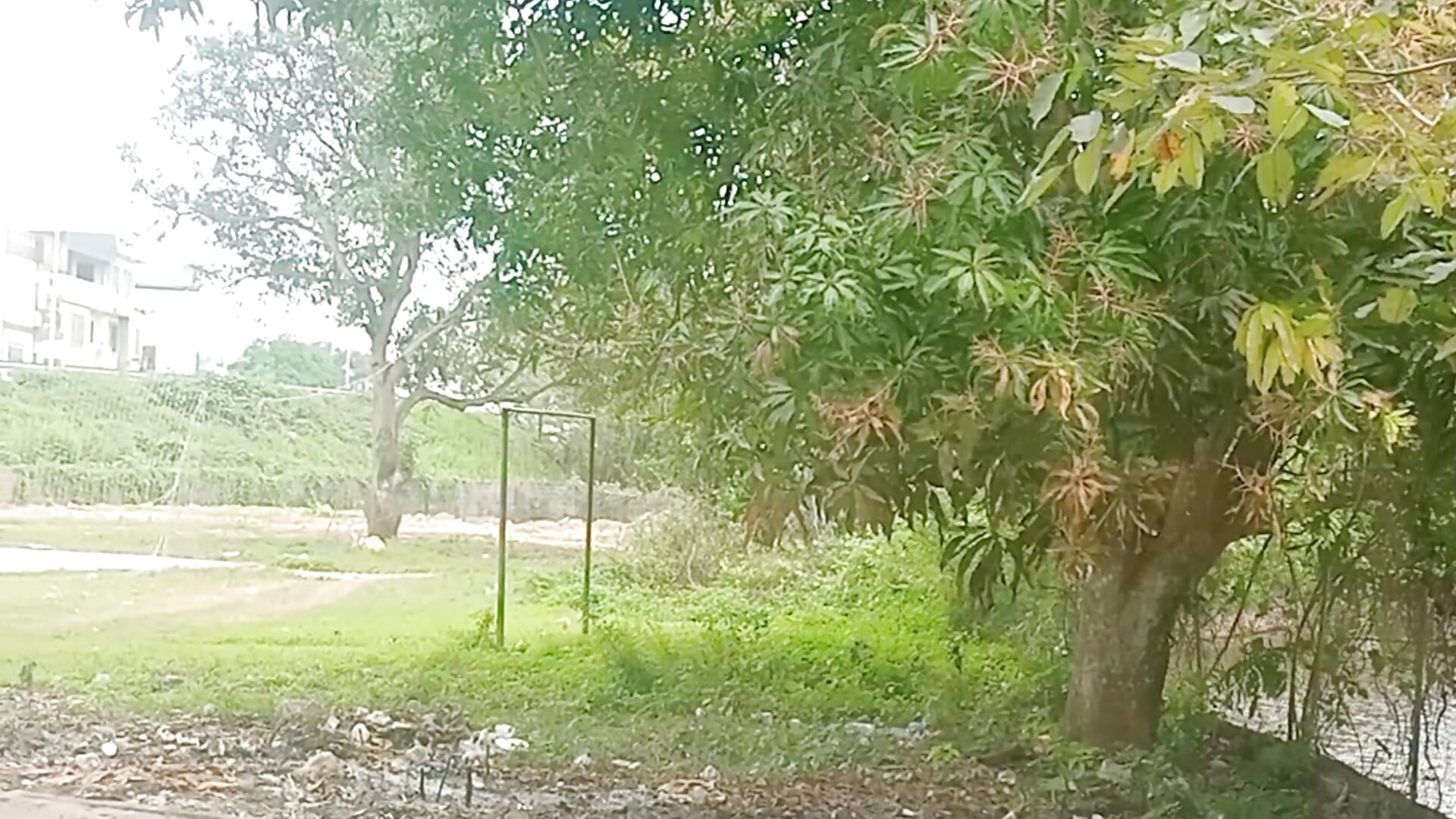 VID20260320131651 - Video von SeraCin Cam-Model