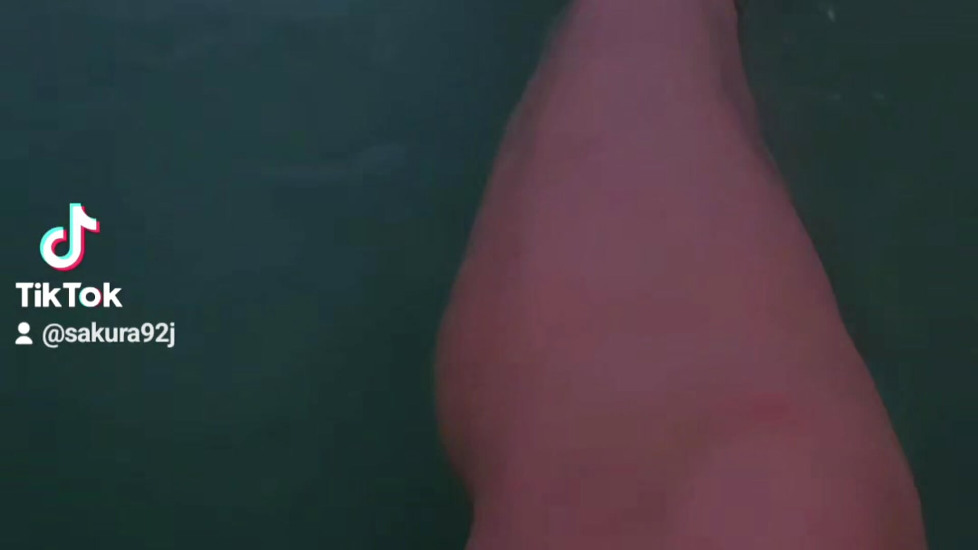 1000051760 - video by Sakura_92 cam model