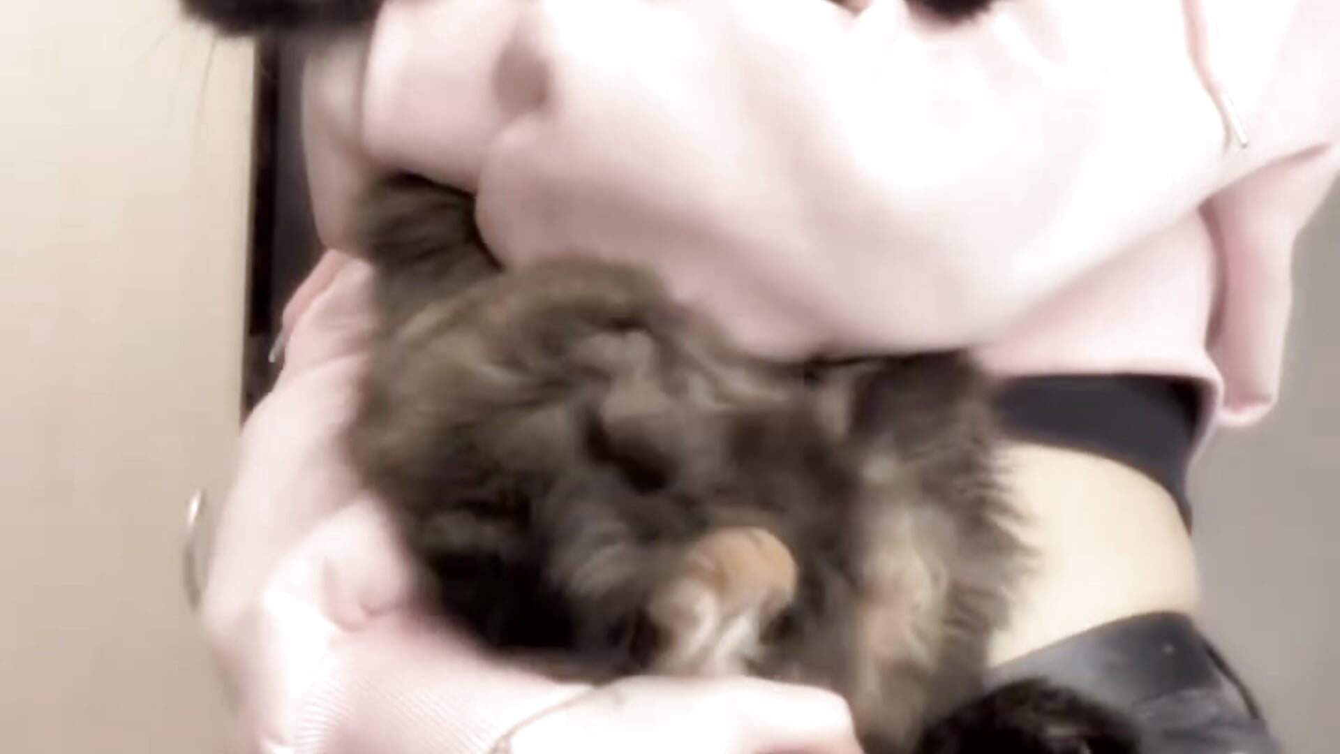 two cat^^ - clip cu Clown_Princess model videochat