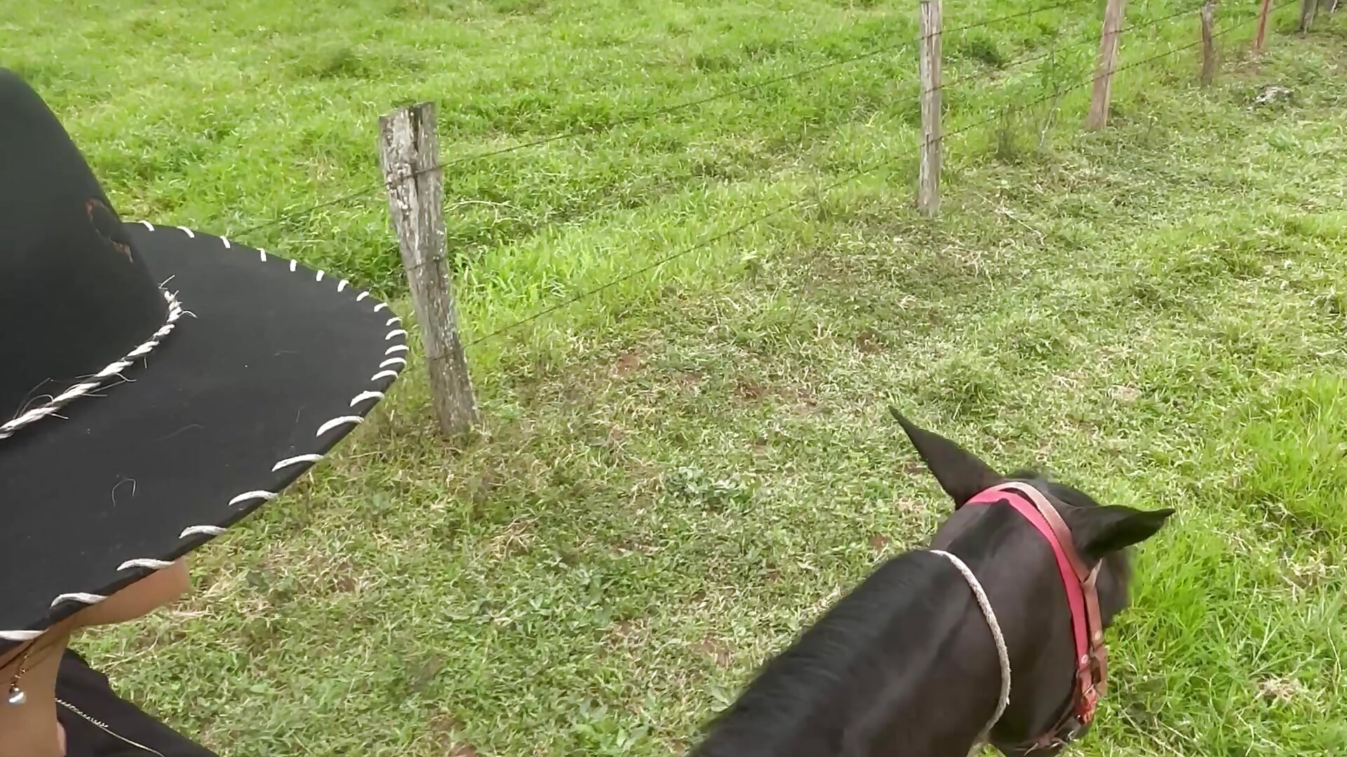 Some of the things Zaira likes to do the most✨ – video od webkamerové modelky zairabreeze_