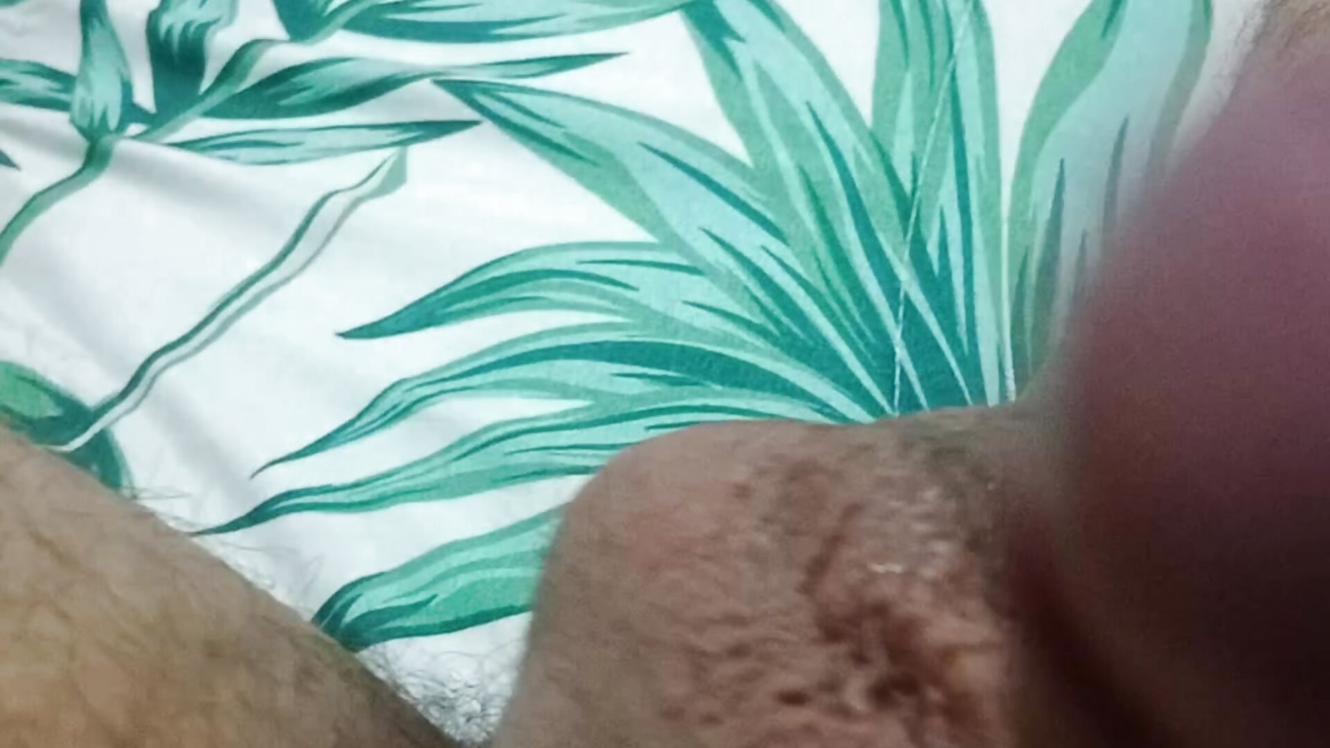 video_20260320_231315 - clip cu miroseis model videochat