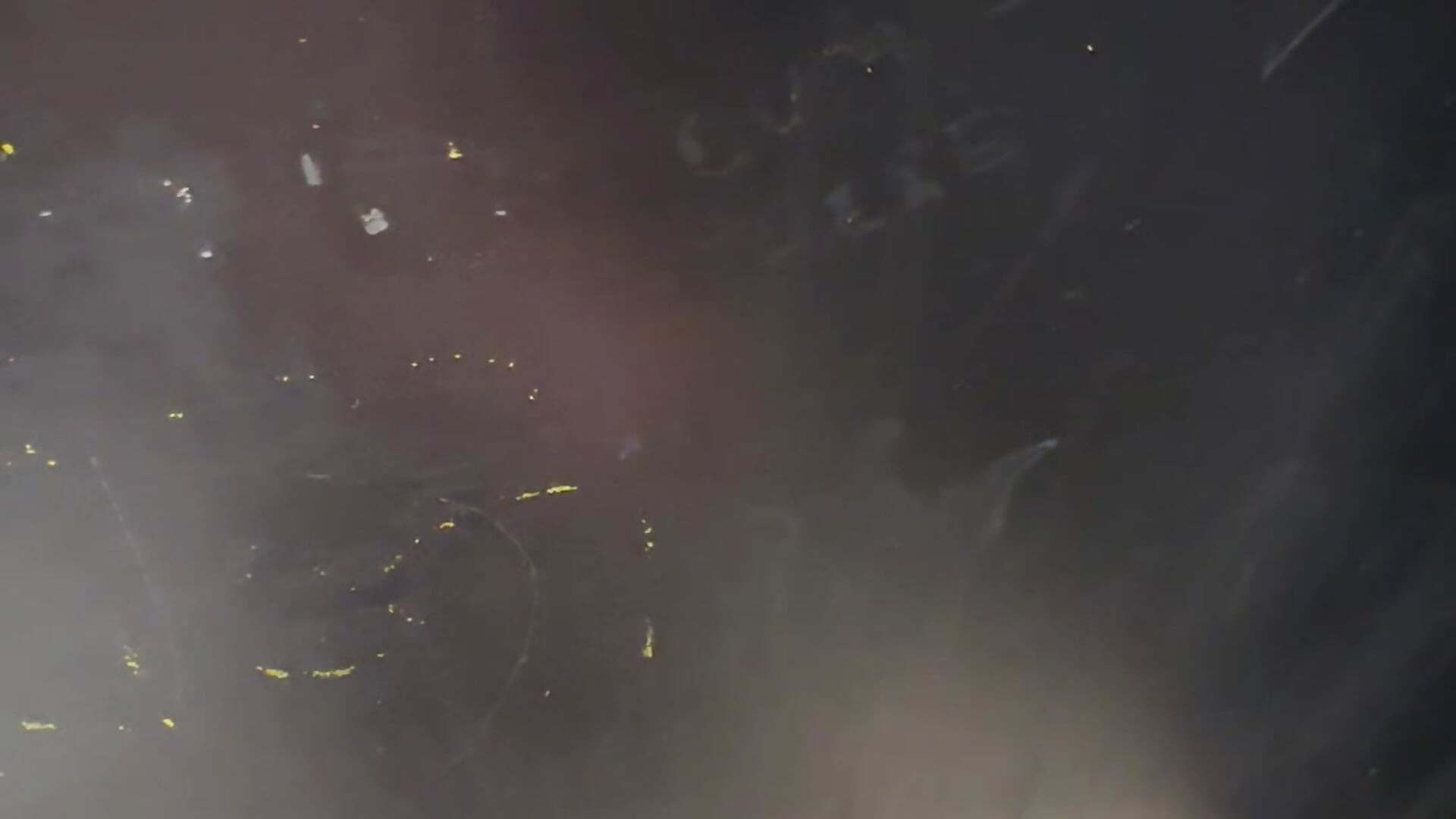 Cumming in bathroom stall – video af lawgik cam-model