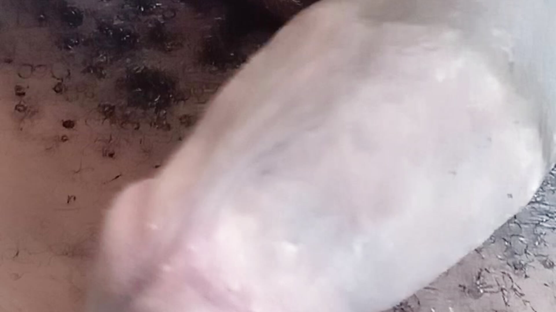 1000282204 – видео вебкам-модели Phuckwithmehard