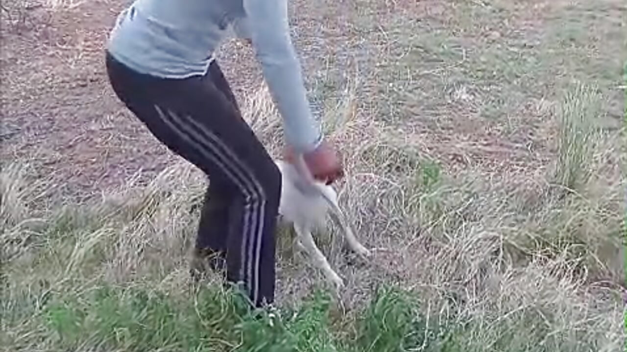 VID-20260216-WA0017－カメラキャストのMoapule1の動画